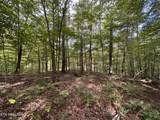 36.9 Acres Winningham Rd - Photo 9