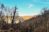 Lots 6,7 Balsam Slopes Rd - Photo 1