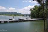 Lot #67 Bayside Blvd - Photo 8