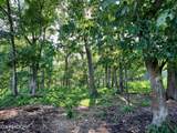 TBD LOT 3 Trents Chapel Rd - Photo 15