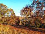 TBD LOT 3 Trents Chapel Rd - Photo 17