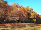 TBD LOT 3 Trents Chapel Rd - Photo 18