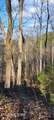 Lot 99 Dolly South Drive - Photo 9