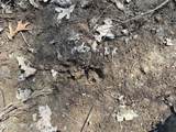 579 acs Rafter Rd - Photo 11