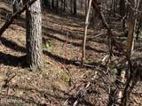 579 acs Rafter Rd - Photo 12