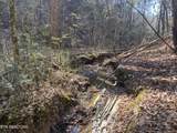579 acs Rafter Rd - Photo 16