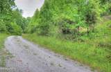 Lot 25 Horseshoe Bend - Photo 11