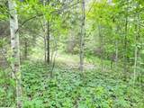 Lot 25 Horseshoe Bend - Photo 13