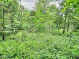 Lot 25 Horseshoe Bend - Photo 14