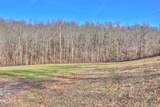 Lot 25 Horseshoe Bend - Photo 22