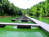 Lot 25 Horseshoe Bend - Photo 34