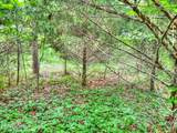 Lot 25 Horseshoe Bend - Photo 6