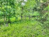 Lot 25 Horseshoe Bend - Photo 7