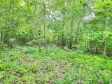 Lot 25 Horseshoe Bend - Photo 8