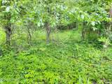Lot 25 Horseshoe Bend - Photo 9