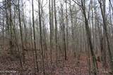 820 Slaven Ridge Rd - Photo 10