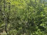  Dunn Rd - Photo 11