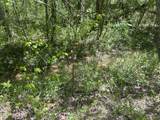  Dunn Rd - Photo 3
