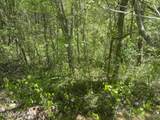  Dunn Rd - Photo 4