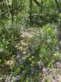  Dunn Rd - Photo 5