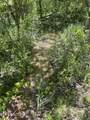  Dunn Rd - Photo 6