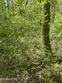  Dunn Rd - Photo 7