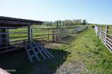 3030 Falcon Rd - Photo 12