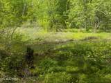  Steve Brown Road - Photo 1