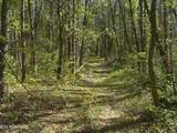  Steve Brown Road - Photo 10