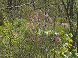  Steve Brown Road - Photo 13