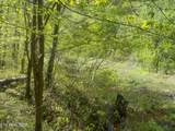  Steve Brown Road - Photo 15