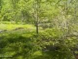  Steve Brown Road - Photo 16