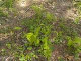  Steve Brown Road - Photo 17