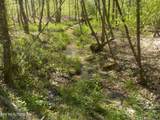  Steve Brown Road - Photo 18