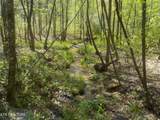  Steve Brown Road - Photo 19