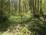  Steve Brown Road - Photo 2