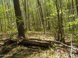  Steve Brown Road - Photo 21