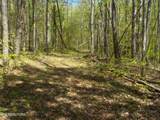 Steve Brown Road - Photo 22