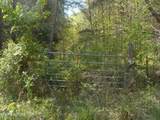  Steve Brown Road - Photo 25