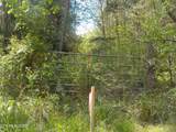  Steve Brown Road - Photo 26