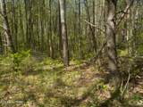 Steve Brown Road - Photo 3