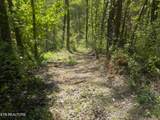  Steve Brown Road - Photo 8