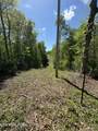 Honey Creek Loop Rd - Photo 1