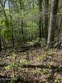  Honey Creek Loop Rd - Photo 10