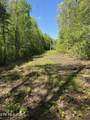  Honey Creek Loop Rd - Photo 11