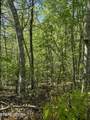  Honey Creek Loop Rd - Photo 12
