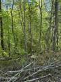  Honey Creek Loop Rd - Photo 13