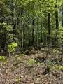  Honey Creek Loop Rd - Photo 14