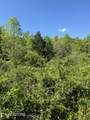  Honey Creek Loop Rd - Photo 15