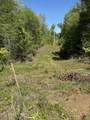  Honey Creek Loop Rd - Photo 2